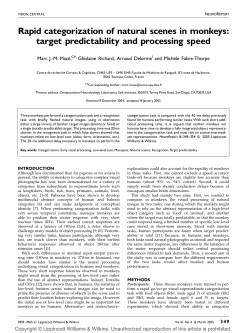 Rapid categorization of natural scenes in monkeys