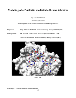 Modeling of a P-selectin mediated adhesion inhibitor