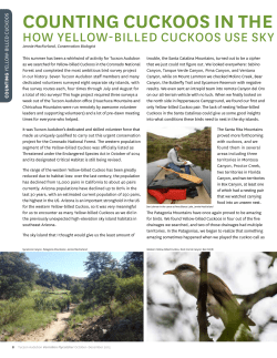 counting cuckoos in the coronado - Patagonia Area Resource Alliance