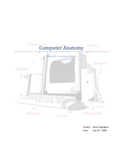 Computer Anatomy