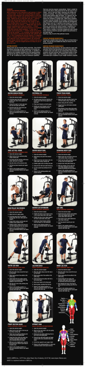 seated bench press pectoral fly tricep push-down wide lat pull