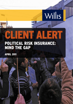 PolitiCAl risk insurAnCe: Mind the GAP