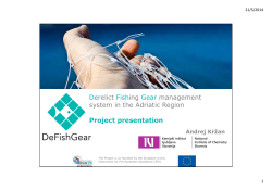 Derelict Fishing Gear management system in the Adriatic Region