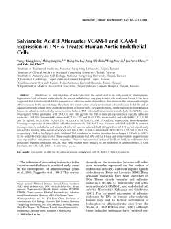 Salvianolic acid B attenuates VCAM-1 and ICAM
