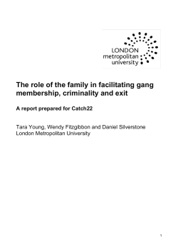 The role of the family in facilitating gang membership