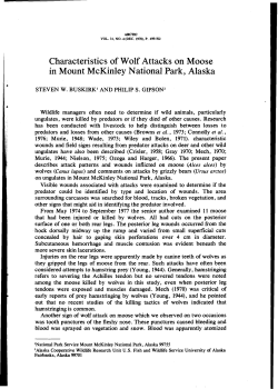 Characteristics of Wolf Attacks on Moose in Mount McKinley