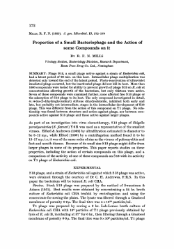 Properties of a Small Bacteriophage and the Action of