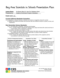 No Bones About It: How Skeletons Work