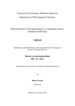 University of Veterinary Medicine Hannover Department of