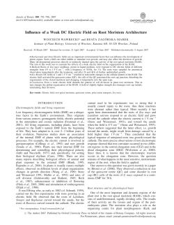 Influence of a Weak DC Electric Field on Root