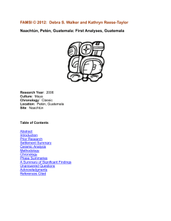 Naacht&uacute;n, Pet&eacute;n, Guatemala: First Analyses, Guatemala