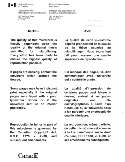 The semantics and pragmatics of metaphor / by David I. Sturdee.