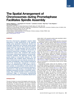 preprint in pdf format - Courant Institute of Mathematical Sciences