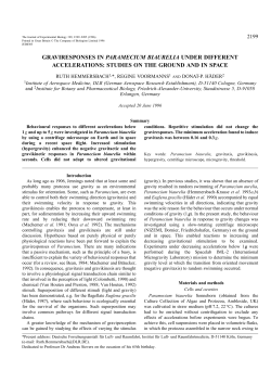 graviresponses in paramecium biaurelia under