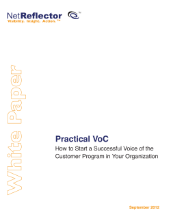 Practical VoC - NetReflector