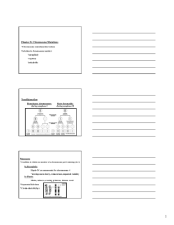Chapter 8: Chromosome Mutations Nondisjunction