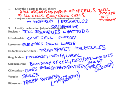 1. Know the 3 parts to the cell theory 2. Compare and contrast