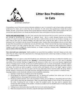 Litter Box Problems in Cats
