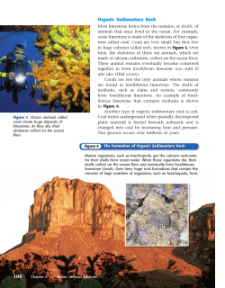 Organic Sedimentary Rock