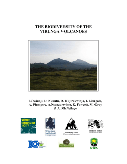 the biodiversity of the virunga volcanoes