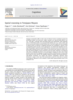 (2011). Spatial reasoning in Tenejapan Mayans