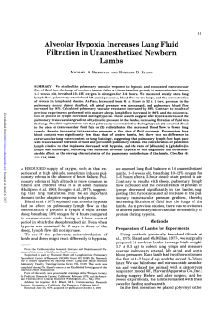 Alveolar Hypoxia Increases Lung Fluid Filtration in Unanesthetized