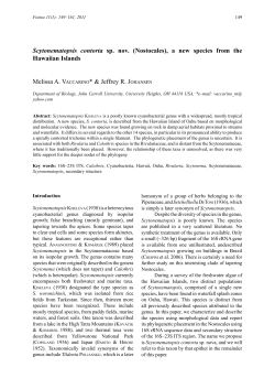Scytonematopsis contorta sp. nov. (Nostocales), a new species from