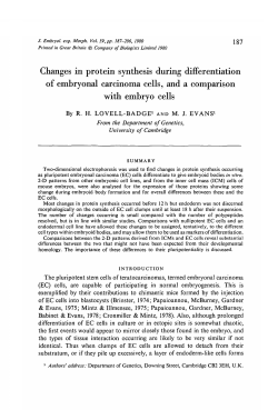 Changes in protein synthesis during differentiation of