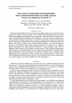 Fatty Acids of Triglycerides and Phospholipids from a