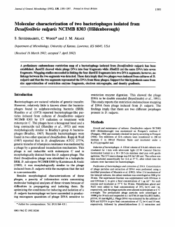Molecular characterization of two bacteriophages