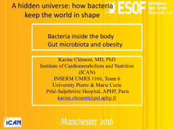 A hidden universe: how bacteria keep the world in shape