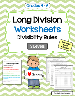 Long Division Worksheets