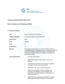 5N4648_AwardSpecifications_English