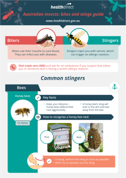Common stingers