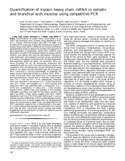 Quantification of myosin heavy chain mRNA in somatic and
