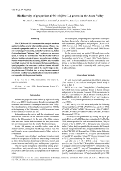 Biodiversity of grapevines (Vitis vinifera L.) grown in the