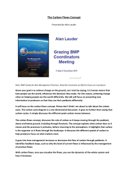 The Carbon Flows Concept