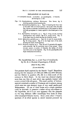 The Ingolfiellid, fam. n., a new Type of Amphipoda.