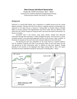 Eden Estuary Salt Marsh Restoration