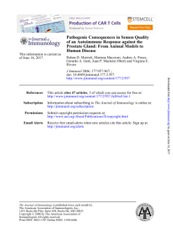 Human Disease Prostate Gland: From Animal Models to of an