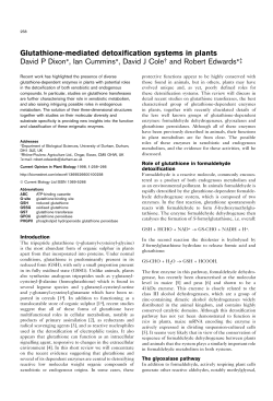 Glutathione-mediated detoxification systems in plants David P Dixon