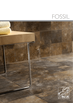 fossil - Ascot Ceramiche