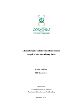 Characterization of flavonoid biosynthesis in apricot and sour cherry