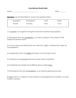 Invertebrates Study Guide