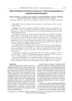 Effect of Echinacea (Echinacea Purpurea L. Moench