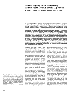 Genetic Mapping of the evergrowing Gene in Peach