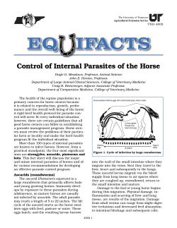 Control of Internal Parasites of the Horse