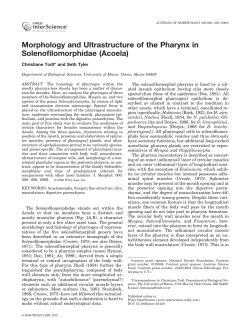 Morphology and Ultrastructure of the Pharynx