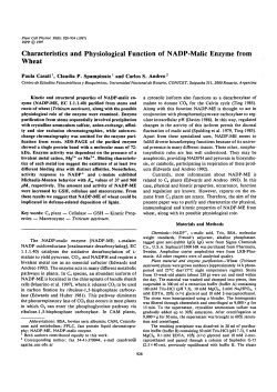 Characteristics and Physiological Function of NADP
