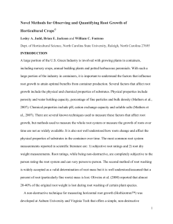 Novel Methods for Observing and Quantifying Root Growth of